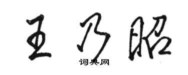 駱恆光王乃昭行書個性簽名怎么寫