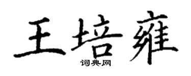 丁謙王培雍楷書個性簽名怎么寫