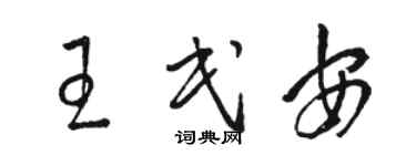 駱恆光王民安草書個性簽名怎么寫