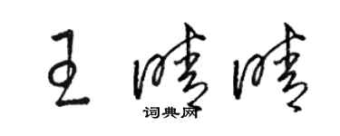駱恆光王晴晴草書個性簽名怎么寫