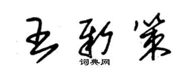 朱錫榮王新策草書個性簽名怎么寫