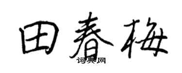 王正良田春梅行書個性簽名怎么寫