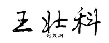 曾慶福王壯科行書個性簽名怎么寫