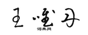 駱恆光王唯丹草書個性簽名怎么寫