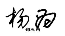 朱錫榮楊為草書個性簽名怎么寫