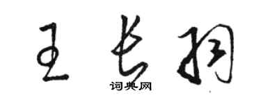 駱恆光王長羽草書個性簽名怎么寫