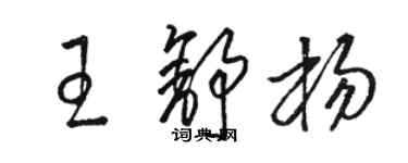 駱恆光王舒楊草書個性簽名怎么寫