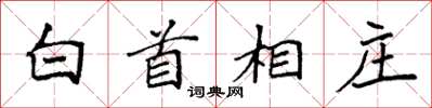 袁強白首相莊楷書怎么寫