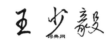 駱恆光王少毅行書個性簽名怎么寫