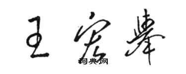 駱恆光王宏舉草書個性簽名怎么寫