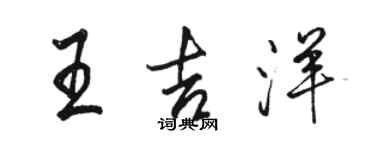 駱恆光王吉洋行書個性簽名怎么寫