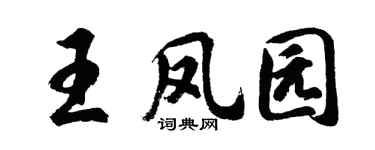 胡問遂王鳳園行書個性簽名怎么寫