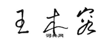 駱恆光王木容草書個性簽名怎么寫