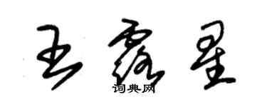 朱錫榮王露星草書個性簽名怎么寫