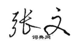 駱恆光張文行書個性簽名怎么寫