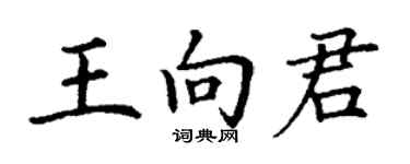 丁謙王向君楷書個性簽名怎么寫