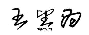 朱錫榮王望為草書個性簽名怎么寫