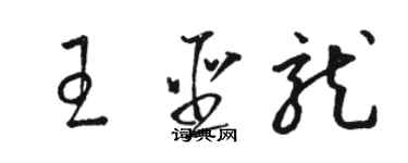 駱恆光王聖龍草書個性簽名怎么寫