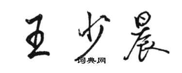 駱恆光王少晨行書個性簽名怎么寫