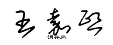 朱錫榮王嘉熙草書個性簽名怎么寫