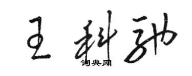 駱恆光王科馳草書個性簽名怎么寫