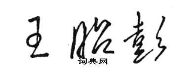 駱恆光王昭彭草書個性簽名怎么寫