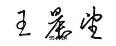 駱恆光王晨望草書個性簽名怎么寫