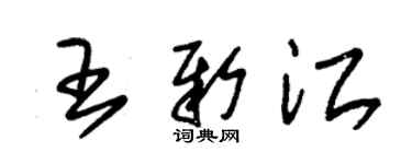 朱錫榮王新江草書個性簽名怎么寫