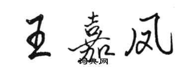 駱恆光王嘉鳳行書個性簽名怎么寫