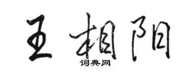 駱恆光王相陽行書個性簽名怎么寫