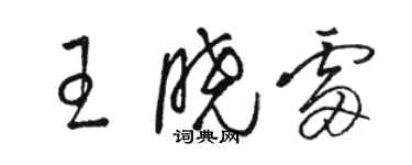 駱恆光王曉雷草書個性簽名怎么寫