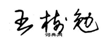 朱錫榮王樹勉草書個性簽名怎么寫