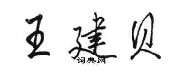 駱恆光王建貝行書個性簽名怎么寫