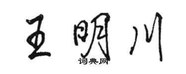駱恆光王明川行書個性簽名怎么寫