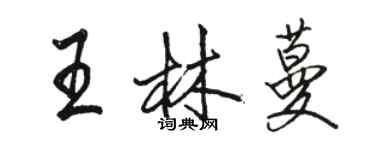 駱恆光王林蔓行書個性簽名怎么寫