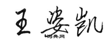 駱恆光王姿凱行書個性簽名怎么寫