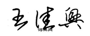 朱錫榮王佳興草書個性簽名怎么寫