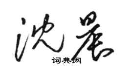 駱恆光沈晨草書個性簽名怎么寫