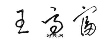 駱恆光王高富草書個性簽名怎么寫