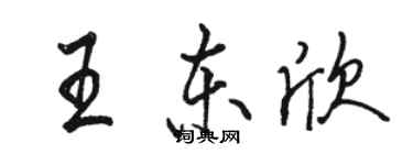 駱恆光王東欣行書個性簽名怎么寫
