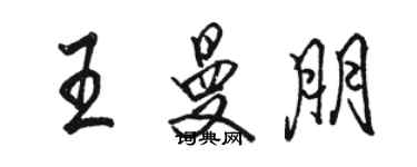 駱恆光王曼朋行書個性簽名怎么寫