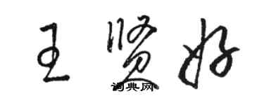 駱恆光王賢好草書個性簽名怎么寫