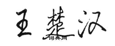 駱恆光王楚漢行書個性簽名怎么寫