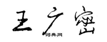 曾慶福王廣密行書個性簽名怎么寫