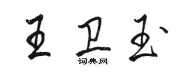 駱恆光王衛玉行書個性簽名怎么寫