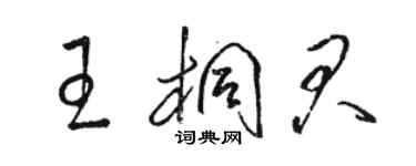 駱恆光王桐君草書個性簽名怎么寫