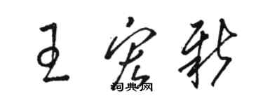 駱恆光王宏新草書個性簽名怎么寫