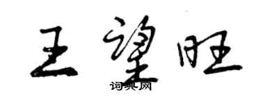 曾慶福王望旺行書個性簽名怎么寫