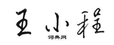 駱恆光王小程行書個性簽名怎么寫