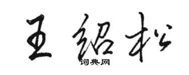 駱恆光王紹松行書個性簽名怎么寫